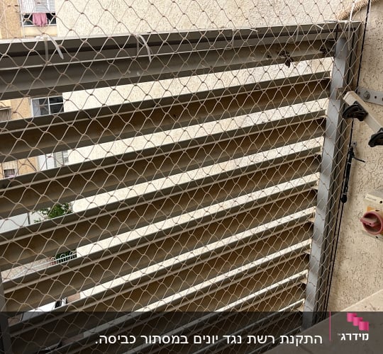 רשת מתכת על חלון למניעת כניסת יונים